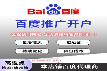 竞价广告赚钱秘籍：百度实战案例